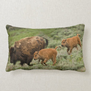 Lamar Valley Mini Stampede Kussen