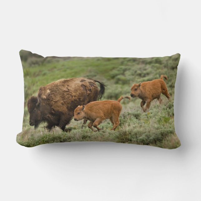 Lamar Valley Mini Stampede Kussen (Voorkant)