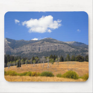 Lamar Valley Muismat