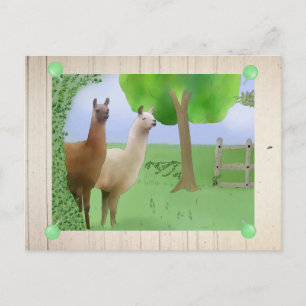 Lamas Briefkaart