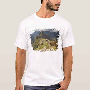 Lamas en een overblik op Machu Picchu, T-shirt