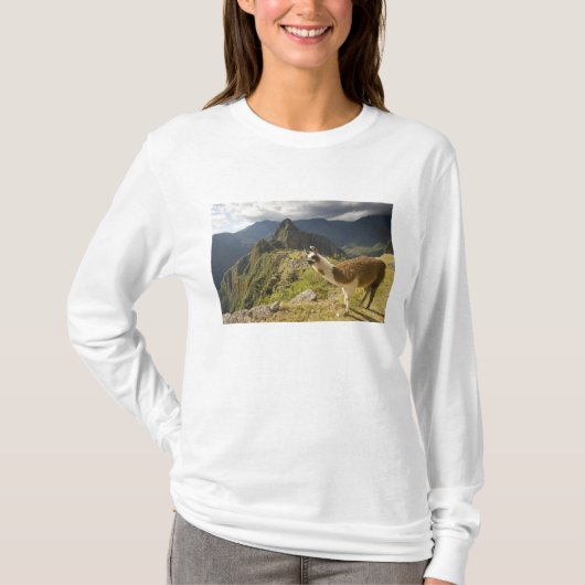 Lamas en een overblik op Machu Picchu, T-shirt (Voorkant)
