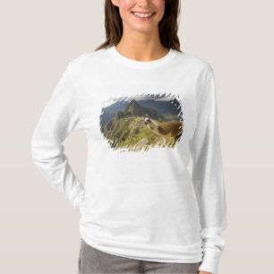 Lama's en een uitzicht op Machu Picchu, T-shirt