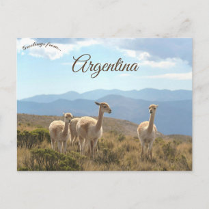 Lama's in Humahuaca Argentinië Briefkaart