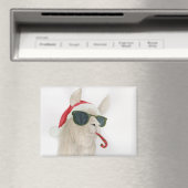 Lamas in tinten: december magneet 3.5 "x2.5" (Insitu (Vaatwasser))