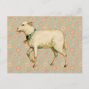 Lamb Art Briefkaart