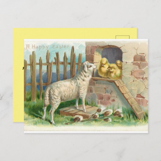 Lamb Avec Poussins Carte Postale De Vacances (Devant / Derrière)