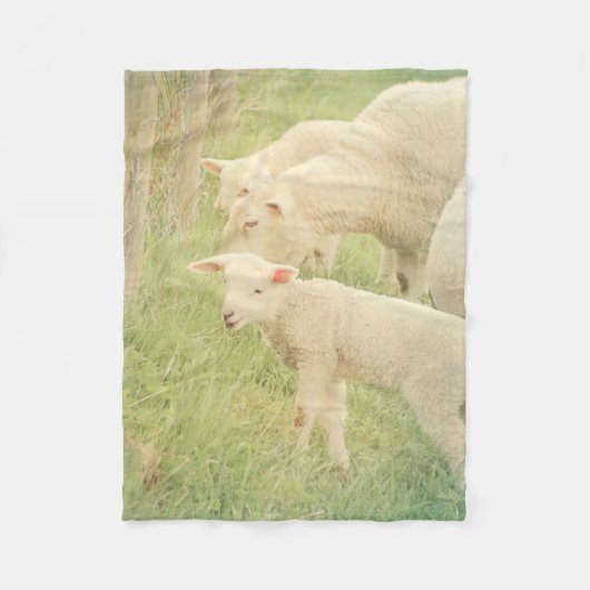 Lamb Baby Animals Sheep Fleece Deken (Voorkant)