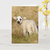 Lamb Birthday-kaart Kaart (Gele Bloem)