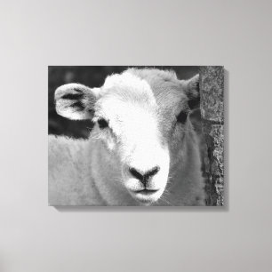 LAMB CANVAS AFDRUK