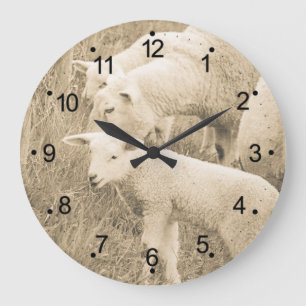Lamb Ewe Sheep Farm Animals Grote Klok