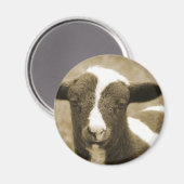 Lamb in Sepia Magneet (Voorkant / Achterkant)