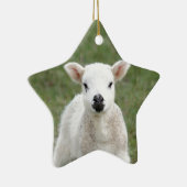 Lamb Keramisch Ornament (Rechts)
