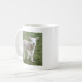 LAMB KOFFIEMOK (Voorkant links)