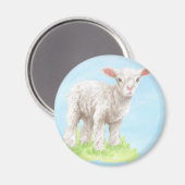 Lamb Magnet Magneet (Voorkant / Achterkant)