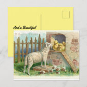 Lamb met Briefkaart voor de dag van de dag van de  (Voorkant / Achterkant)
