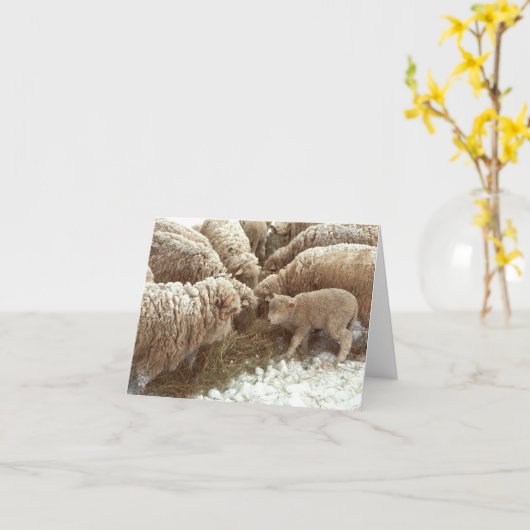 Lamb Note Kaart (Gele Bloem)