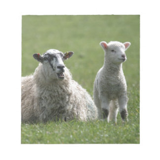 Lamb Notitieblok