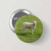Lamb Ronde Button 5,7 Cm (Voorkant /achterkant)