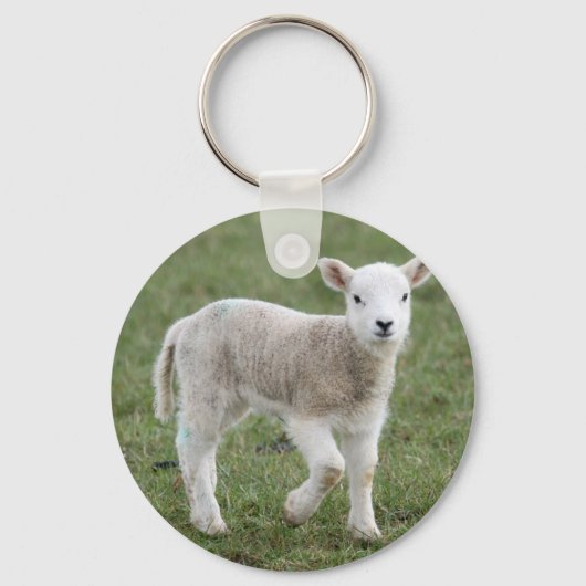 LAMB SLEUTELHANGER (Voorkant)