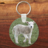 LAMB SLEUTELHANGER (Voorkant)