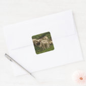 Lamb Square Sticker (Envelop)