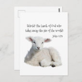 Lamb van God Briefkaart (Voorkant / Achterkant)