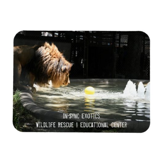 Lambert - Flexible Photo Magnet Magneet (Horizontaal)