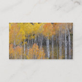 Lambert Hollow, espenbomen Visitekaartje (Achterkant)