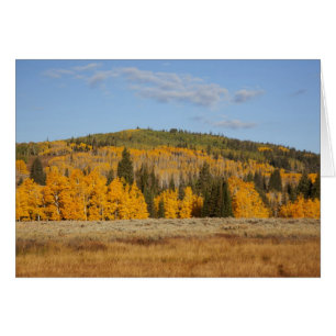 Lambert Hollow, espessen