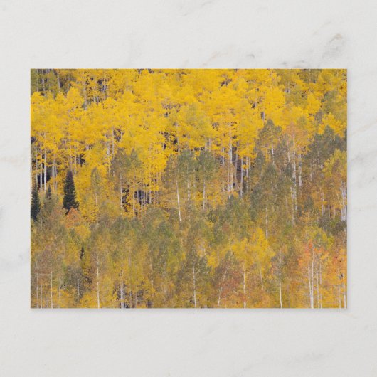 Lambert Hollow, espessen Briefkaart (Voorkant)