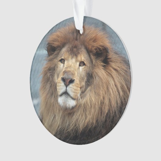 Lambert - ornament (voorkant)