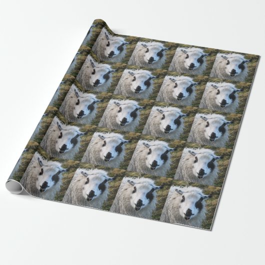 Lambie Wrapping Paper Cadeaupapier (Uitgerold)