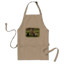 Lambs apron