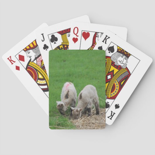 Lambs Speelkaarten (Achterkant)