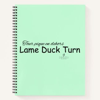 Lame Duck Turn Mint Groen en Zwart Notitieboek