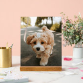 Lamina con foto de perro bonito tierno (Mariage)