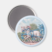  lammeren geperst in Fancy blauwe linten Magneet (Voorkant / Achterkant)