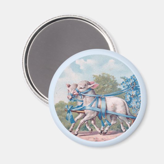  lammeren geperst in Fancy blauwe linten Magneet (Voorkant / Achterkant)