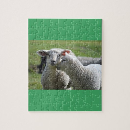 Lammeren samen legpuzzel (Verticaal)