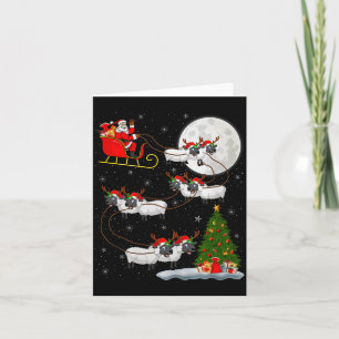 Lammeren Schaap Kerstman Slede Vliegend Grappig Ma Kaart
