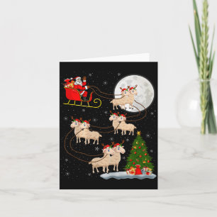 Lammeren Schapen Sinterklaas Sleigh Vliegend Grapp Kaart