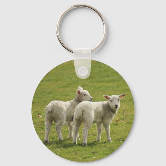lammeren sleutelhanger (Voorkant)