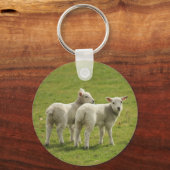 lammeren sleutelhanger (Voorkant)