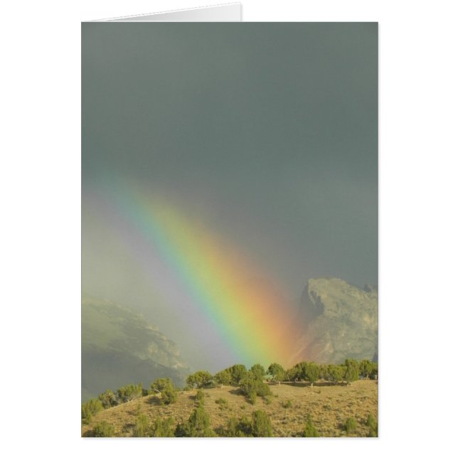 Lamoille Canyon Arc-en-ciel (Devant)