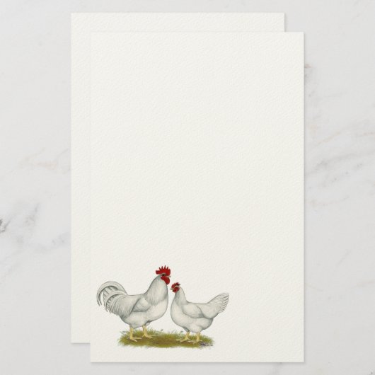 Lamona Chickens Briefpapier (Voorkant / Achterkant)
