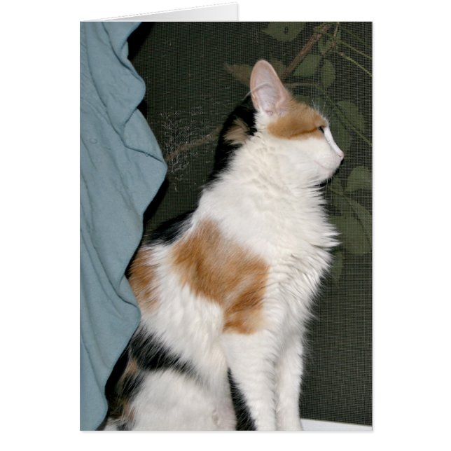 L'amour attend (Devant)