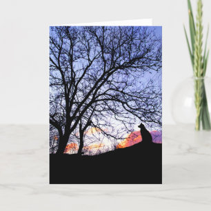 "L'amour au coucher du soleil" Perte d'une carte d