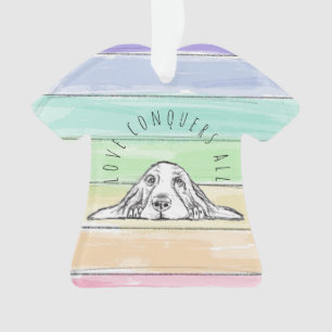 l'amour conquiert tout chien arc-en-ciel basset ho
