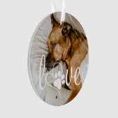 L'amour de la vie des animaux | Empreinte de patte (devant)